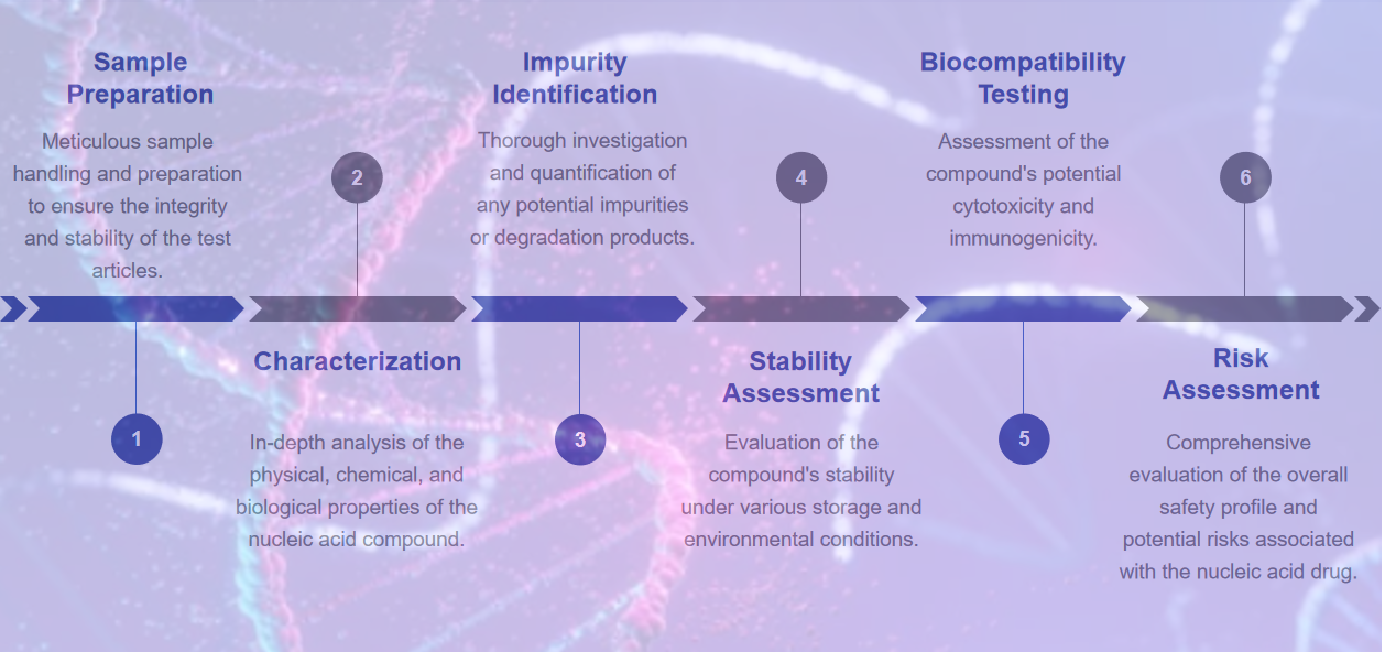 Fig.2 Analysis of nucleic acid drugs' safety workflow.